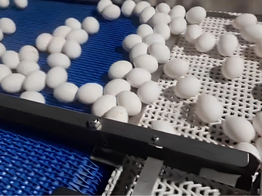 Prolink S2-RRB's special surface structure stabilizes the eggs on the belt 